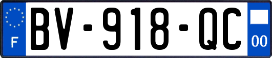BV-918-QC
