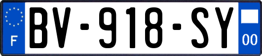 BV-918-SY