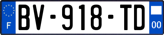 BV-918-TD