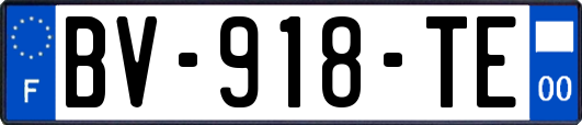 BV-918-TE