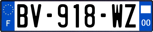 BV-918-WZ