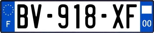 BV-918-XF