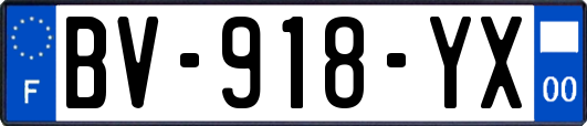 BV-918-YX