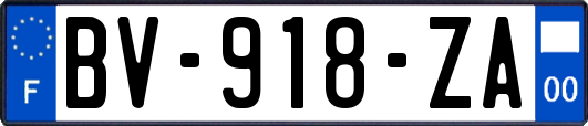 BV-918-ZA