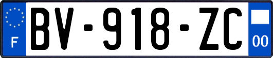 BV-918-ZC