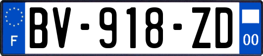 BV-918-ZD