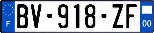 BV-918-ZF