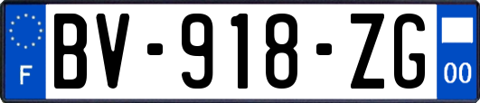 BV-918-ZG