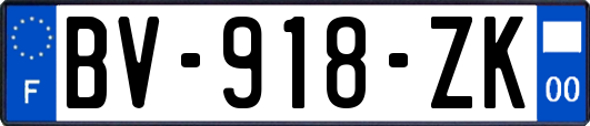 BV-918-ZK