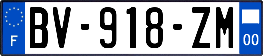 BV-918-ZM