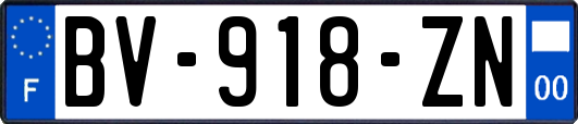 BV-918-ZN