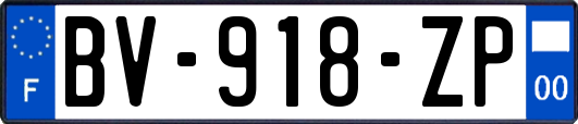 BV-918-ZP