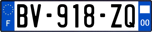 BV-918-ZQ