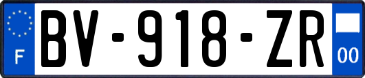 BV-918-ZR