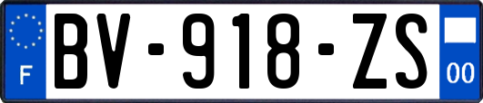 BV-918-ZS