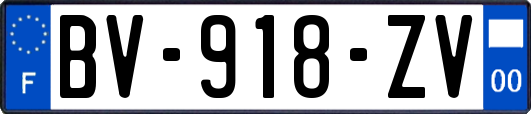 BV-918-ZV