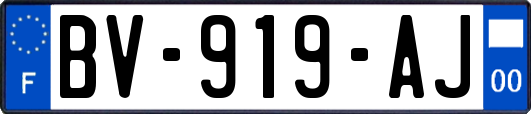 BV-919-AJ