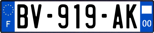 BV-919-AK