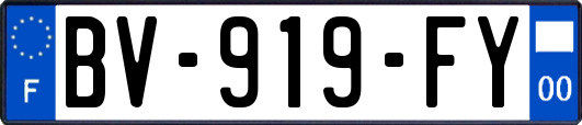 BV-919-FY