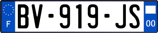 BV-919-JS