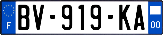 BV-919-KA