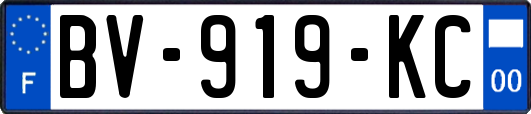 BV-919-KC
