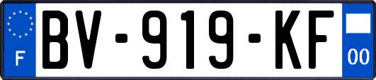 BV-919-KF