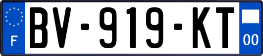 BV-919-KT