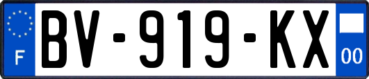 BV-919-KX