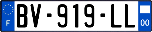 BV-919-LL