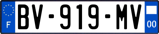 BV-919-MV