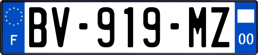 BV-919-MZ