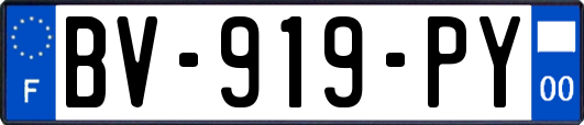 BV-919-PY