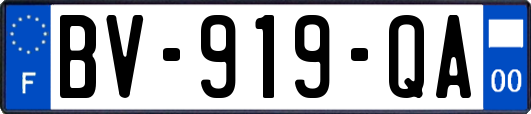 BV-919-QA