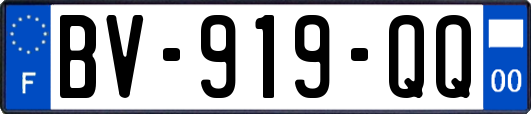 BV-919-QQ