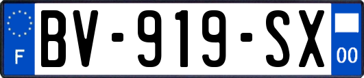 BV-919-SX