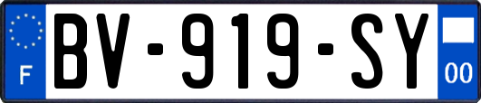 BV-919-SY