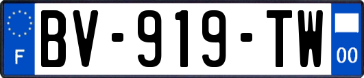 BV-919-TW