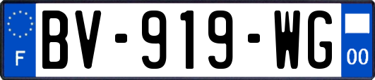 BV-919-WG