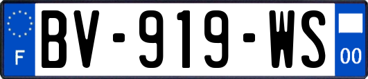 BV-919-WS