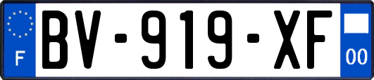 BV-919-XF