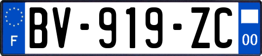 BV-919-ZC