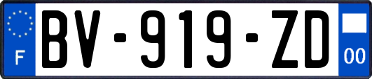 BV-919-ZD