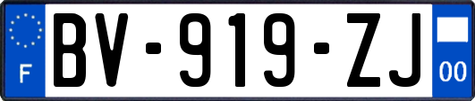 BV-919-ZJ