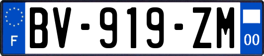 BV-919-ZM