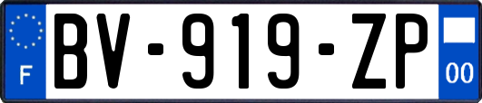 BV-919-ZP