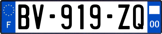 BV-919-ZQ