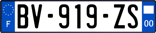 BV-919-ZS