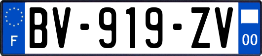 BV-919-ZV