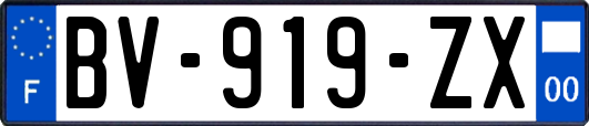 BV-919-ZX